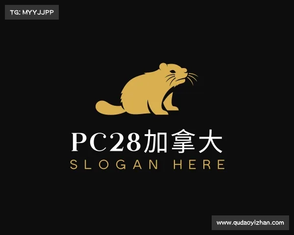 认识pc28加拿大